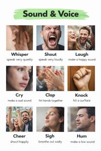 Different kinds of Sounds & Voices in English